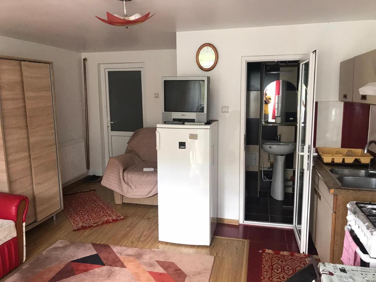 Apartmán Garsoniera Lazaroiu Băile Govora Exteriér fotografie